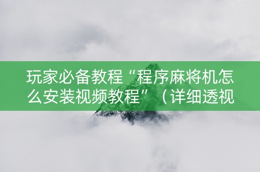 玩家必备教程“程序麻将机怎么安装视频教程”（详细透视教程）-哔哩哔哩
