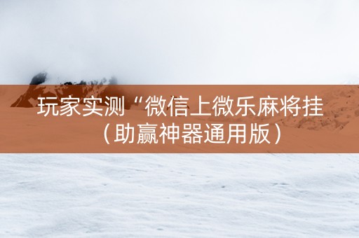 玩家实测“微信上微乐麻将挂（助赢神器通用版）