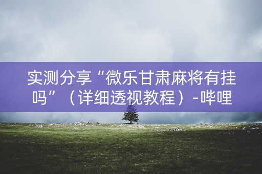 实测分享“微乐甘肃麻将有挂吗”（详细透视教程）-哔哩哔哩