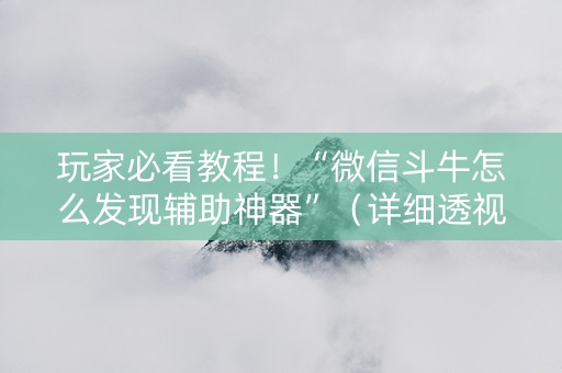 玩家必看教程！“微信斗牛怎么发现辅助神器”（详细透视教程）-哔哩哔哩