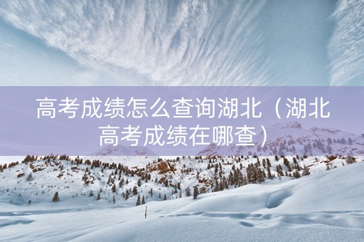 高考成绩怎么查询湖北（湖北高考成绩在哪查）