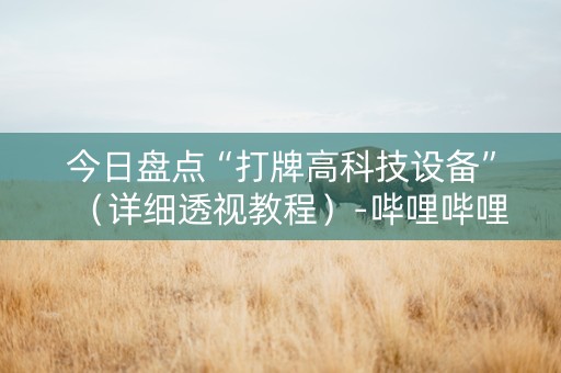 今日盘点“打牌高科技设备”（详细透视教程）-哔哩哔哩
