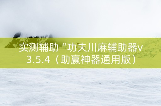 实测辅助“功夫川麻辅助器v3.5.4（助赢神器通用版）