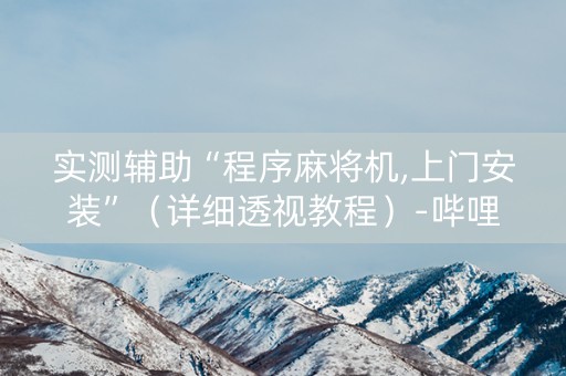 实测辅助“程序麻将机,上门安装”（详细透视教程）-哔哩哔哩