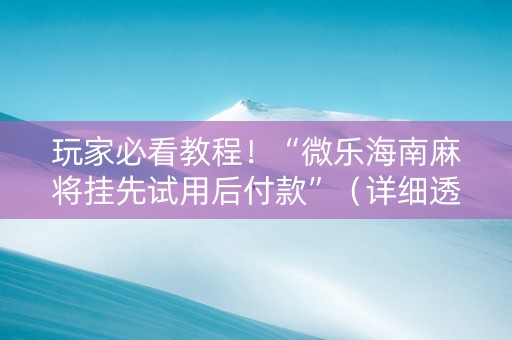 玩家必看教程！“微乐海南麻将挂先试用后付款”（详细透视教程）-哔哩哔哩