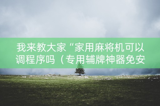 我来教大家“家用麻将机可以调程序吗（专用辅牌神器免安装）