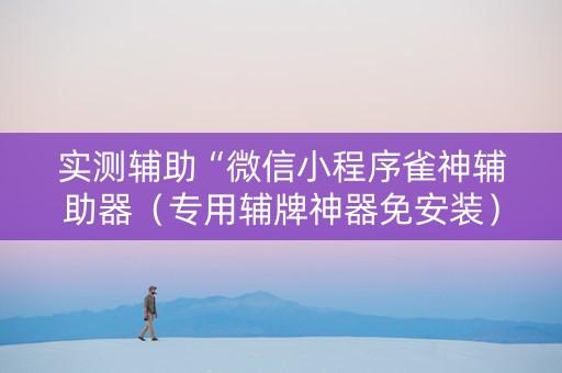 实测辅助“微信小程序雀神辅助器（专用辅牌神器免安装）