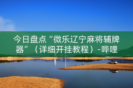 今日盘点“微乐辽宁麻将辅牌器”（详细开挂教程）-哔哩哔哩