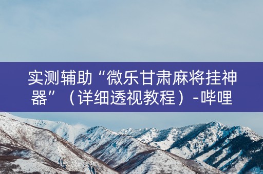 实测辅助“微乐甘肃麻将挂神器”（详细透视教程）-哔哩哔哩