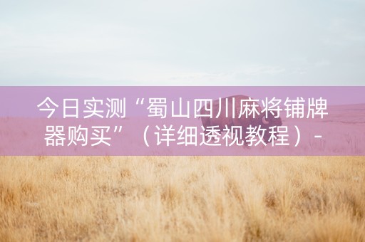 今日实测“蜀山四川麻将铺牌器购买”（详细透视教程）-哔哩哔哩