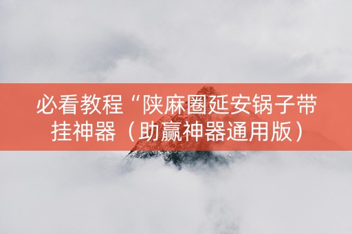 必看教程“陕麻圈延安锅子带挂神器（助赢神器通用版）