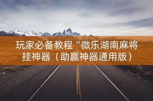 玩家必备教程“微乐湖南麻将挂神器（助赢神器通用版）