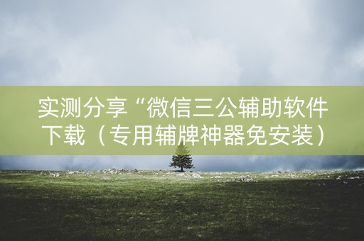 实测分享“微信三公辅助软件下载（专用辅牌神器免安装）