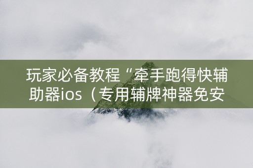 玩家必备教程“牵手跑得快辅助器ios（专用辅牌神器免安装）