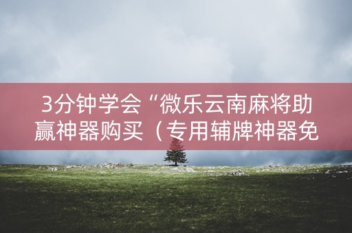 3分钟学会“微乐云南麻将助赢神器购买（专用辅牌神器免安装）