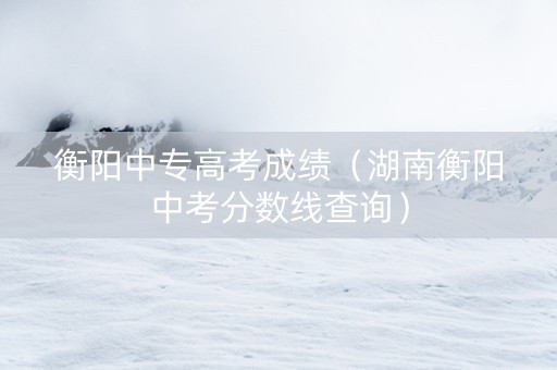 衡阳中专高考成绩（湖南衡阳中考分数线查询）