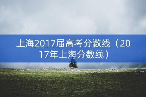 上海2017届高考分数线（2017年上海分数线）
