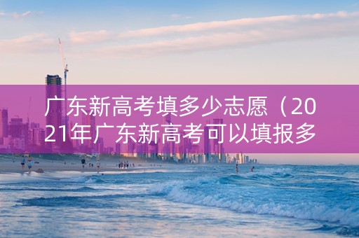 广东新高考填多少志愿（2021年广东新高考可以填报多少个志愿）