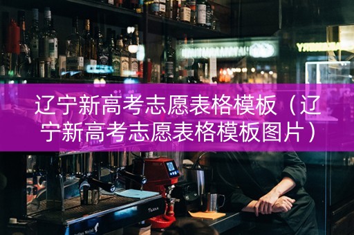 辽宁新高考志愿表格模板（辽宁新高考志愿表格模板图片）