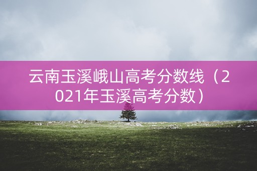 云南玉溪峨山高考分数线（2021年玉溪高考分数）