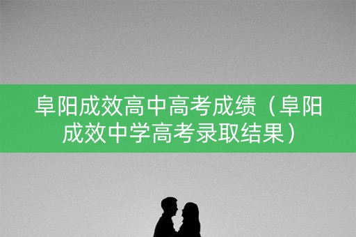 阜阳成效高中高考成绩（阜阳成效中学高考录取结果）
