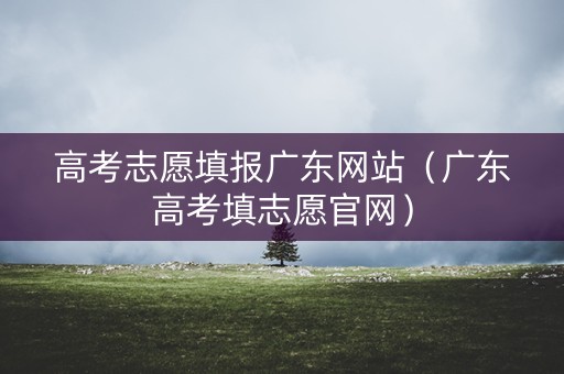 高考志愿填报广东网站（广东高考填志愿官网）