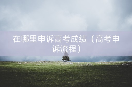 在哪里申诉高考成绩（高考申诉流程）