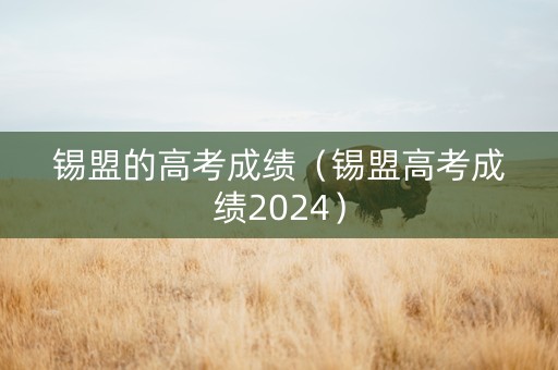 锡盟的高考成绩（锡盟高考成绩2024）
