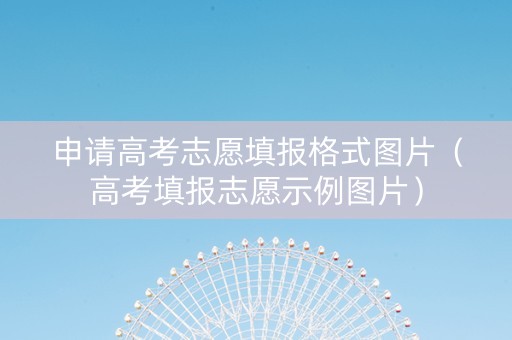 申请高考志愿填报格式图片（高考填报志愿示例图片）