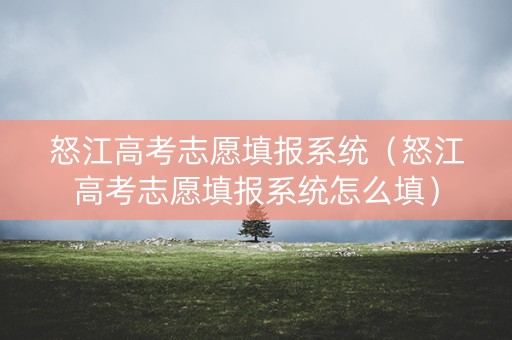 怒江高考志愿填报系统（怒江高考志愿填报系统怎么填）
