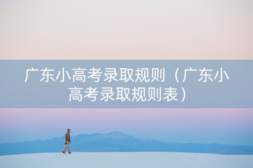 广东小高考录取规则（广东小高考录取规则表）