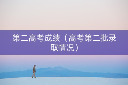 第二高考成绩（高考第二批录取情况）