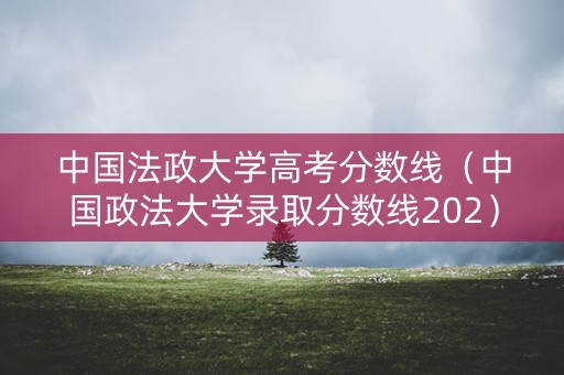 中国法政大学高考分数线（中国政法大学录取分数线202）