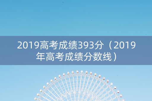 2019高考成绩393分（2019年高考成绩分数线）