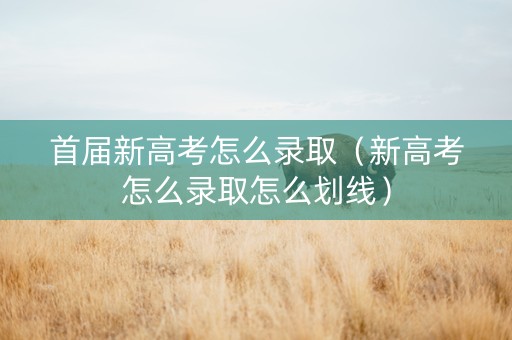 首届新高考怎么录取（新高考怎么录取怎么划线）
