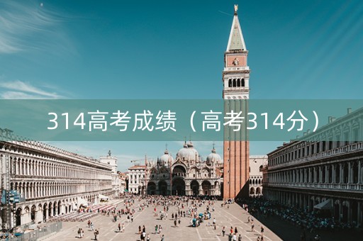 314高考成绩（高考314分）