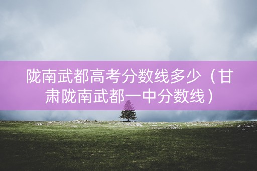 陇南武都高考分数线多少（甘肃陇南武都一中分数线）