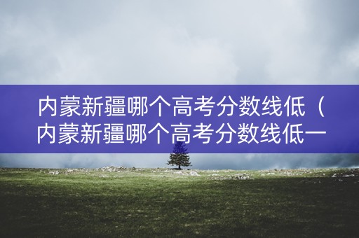 内蒙新疆哪个高考分数线低（内蒙新疆哪个高考分数线低一点）