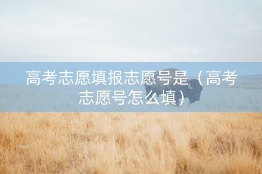 高考志愿填报志愿号是（高考志愿号怎么填）
