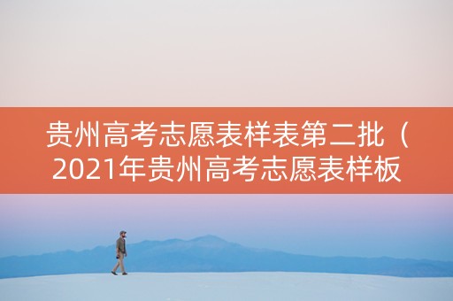 贵州高考志愿表样表第二批（2021年贵州高考志愿表样板）