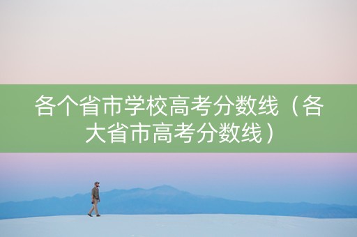 各个省市学校高考分数线（各大省市高考分数线）