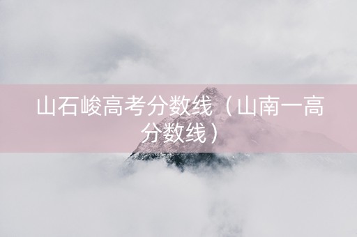 山石峻高考分数线（山南一高分数线）