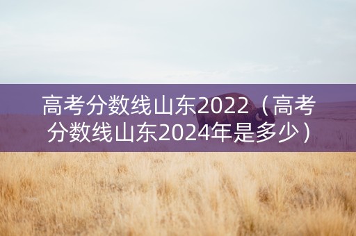 高考分数线山东2022（高考分数线山东2024年是多少）