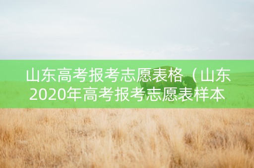 山东高考报考志愿表格（山东2020年高考报考志愿表样本）