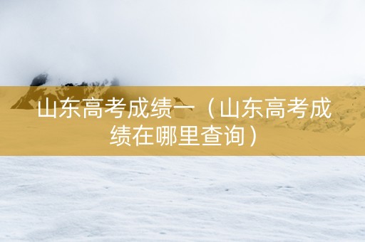 山东高考成绩一（山东高考成绩在哪里查询）