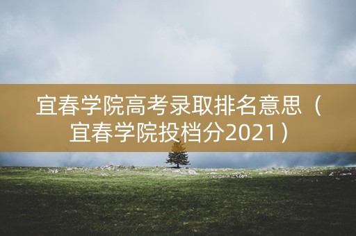 宜春学院高考录取排名意思（宜春学院投档分2021）