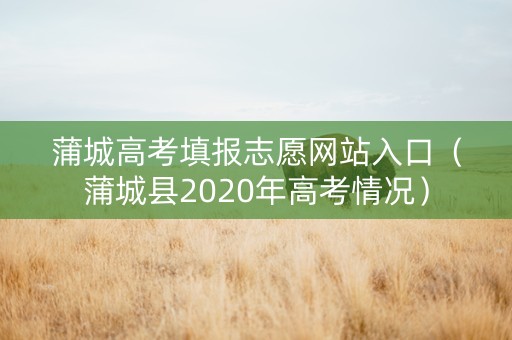 蒲城高考填报志愿网站入口（蒲城县2020年高考情况）