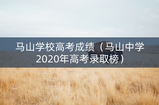 马山学校高考成绩（马山中学2020年高考录取榜）