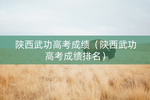 陕西武功高考成绩（陕西武功高考成绩排名）