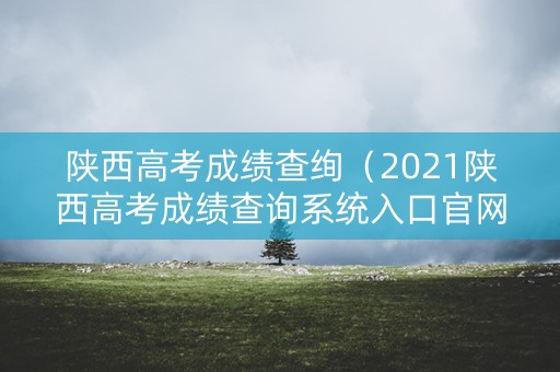 陕西高考成绩查绚（2021陕西高考成绩查询系统入口官网）
